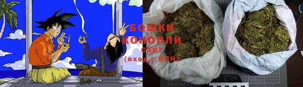 ECSTASY Абаза