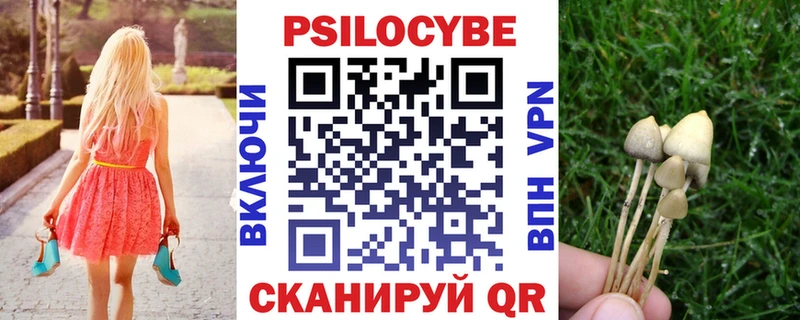 Галлюциногенные грибы GOLDEN TEACHER  где можно купить   Братск 